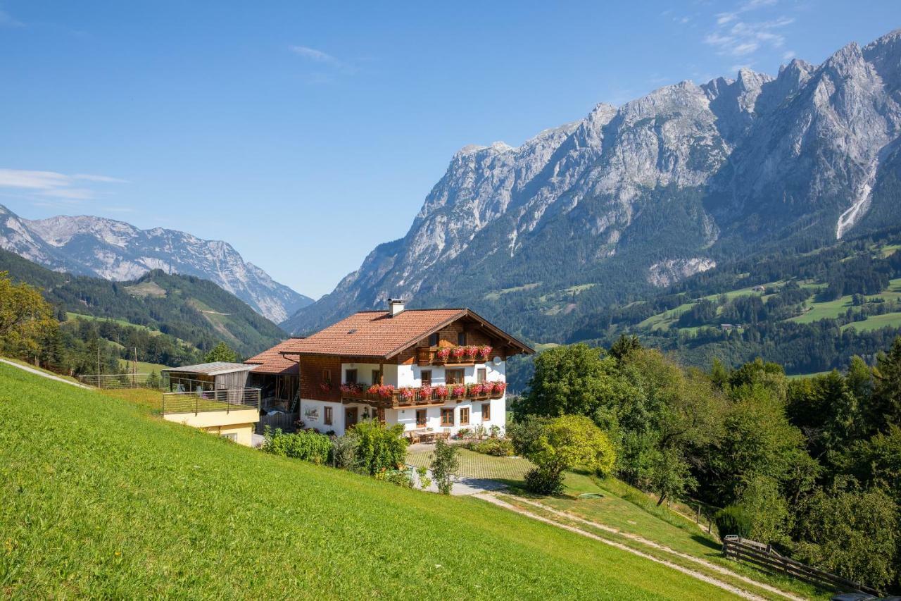 Unterschwabegghof Apartment Werfen Exterior photo